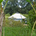Tropical Yurt